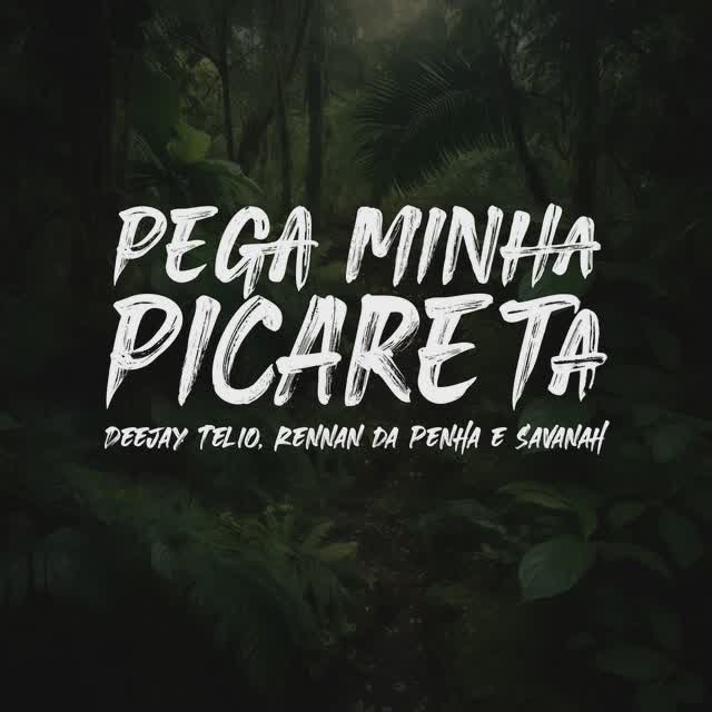 Deejay Telio - Pega Minha Picareta Feat Rennan da Penha, Savanah, Selva Music, Baile da Selva Oficial
