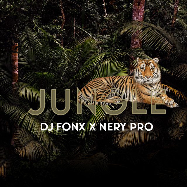 Dj Fon - Jungle Feat  Nery Pro