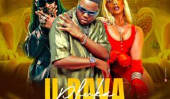 Bander – Pfuka U Bava Feat Lihle Bliss