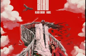 Black Sherif – Zero Feat Mabel