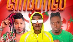 Pop Star – Gindungo Feat Pedal King, Dj kalisboy