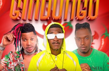 Pop Star – Gindungo Feat Pedal King, Dj kalisboy